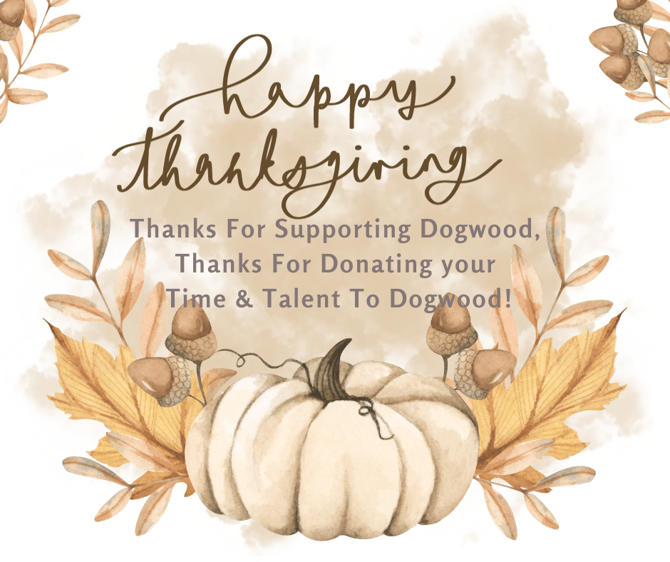 This image has an empty alt attribute; its file name is image.png